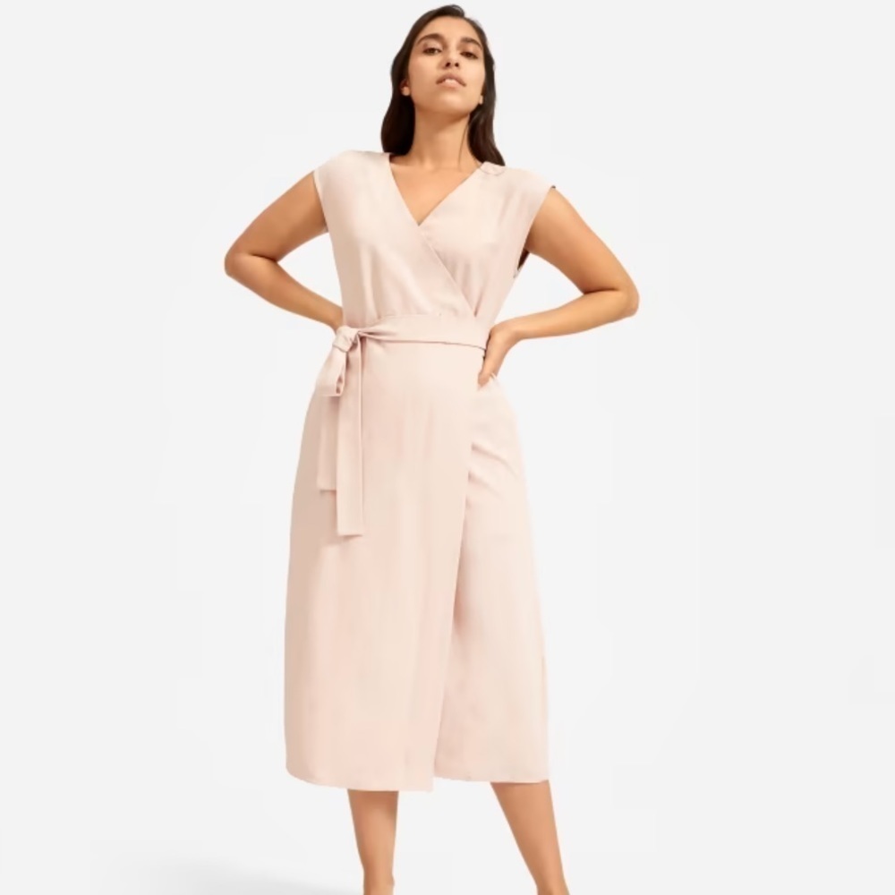 Everlane Japanese GoWeave Short Sleeve Wrap Dress